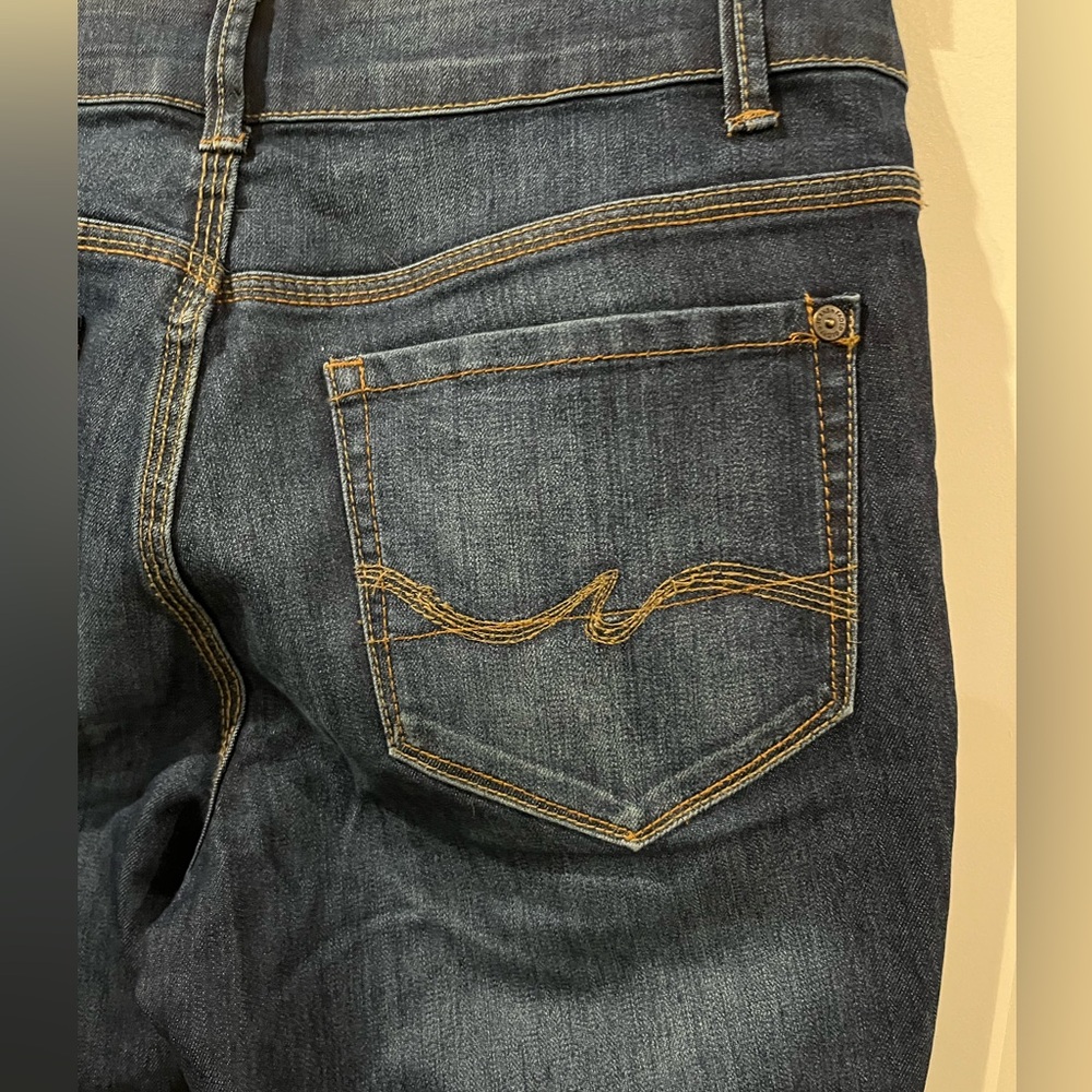 BNWOT Size 6 Skinny Premium Jean by Faded Glory